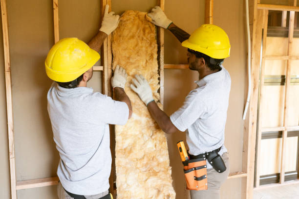 Types of Insulation We Offer in Canadian, TX